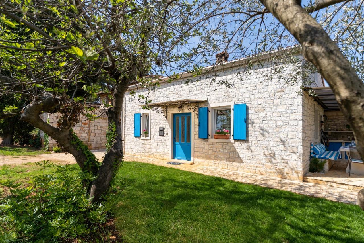 Villa Daulos Novigrad Istria Dış mekan fotoğraf
