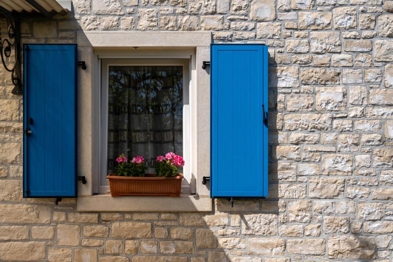 Villa Daulos Novigrad Istria Dış mekan fotoğraf