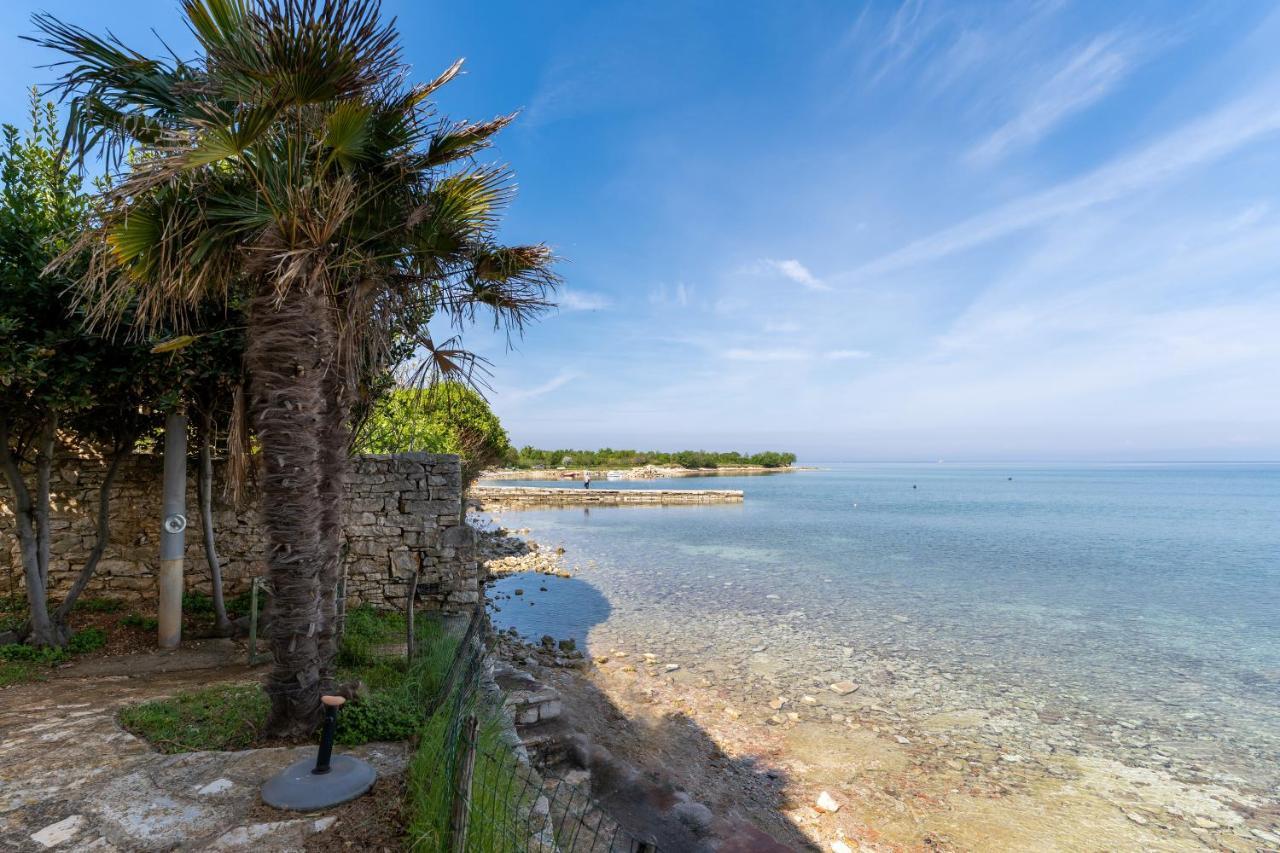 Villa Daulos Novigrad Istria Dış mekan fotoğraf