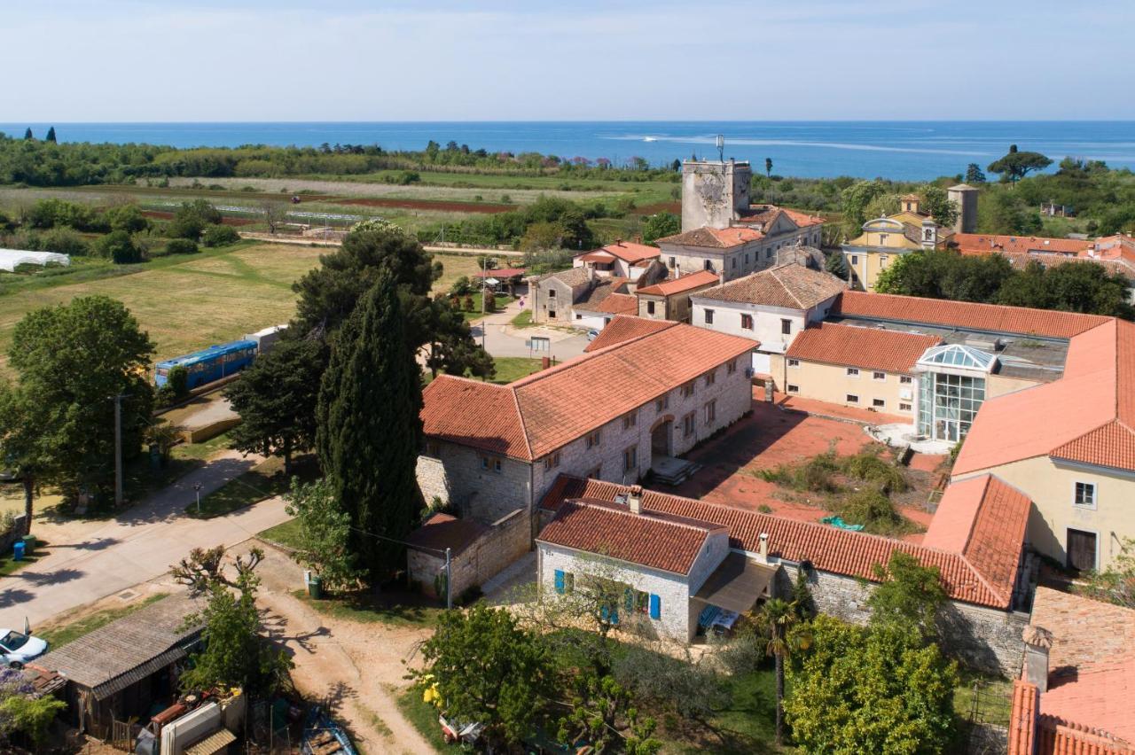 Villa Daulos Novigrad Istria Dış mekan fotoğraf