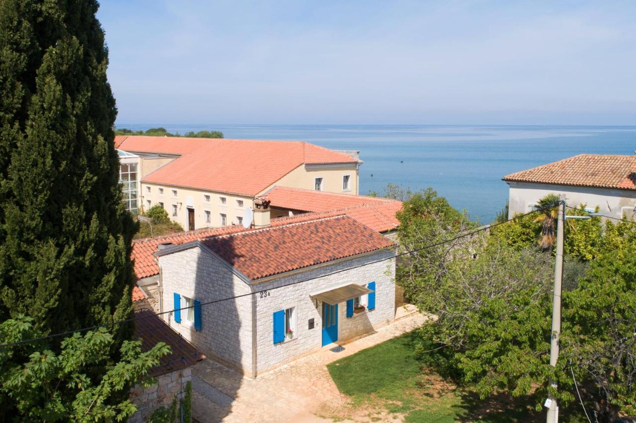 Villa Daulos Novigrad Istria Dış mekan fotoğraf