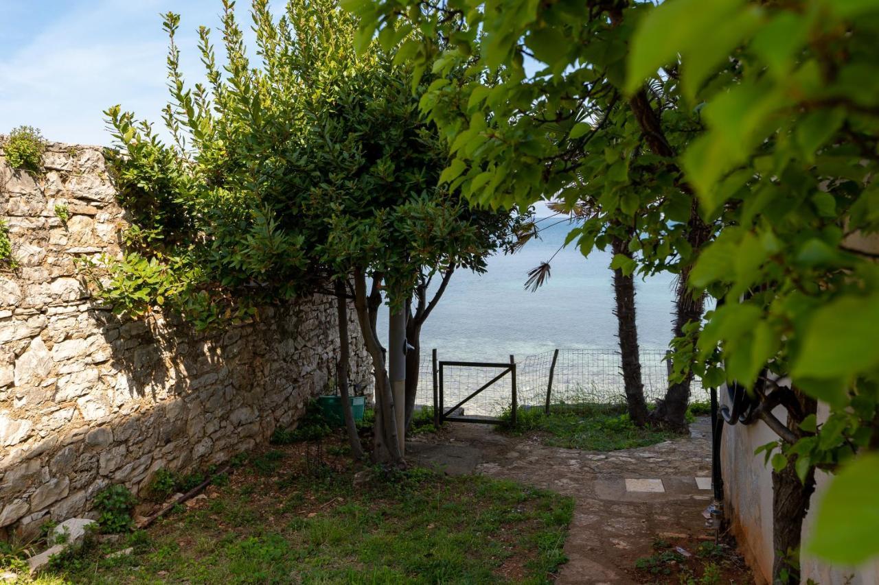Villa Daulos Novigrad Istria Dış mekan fotoğraf