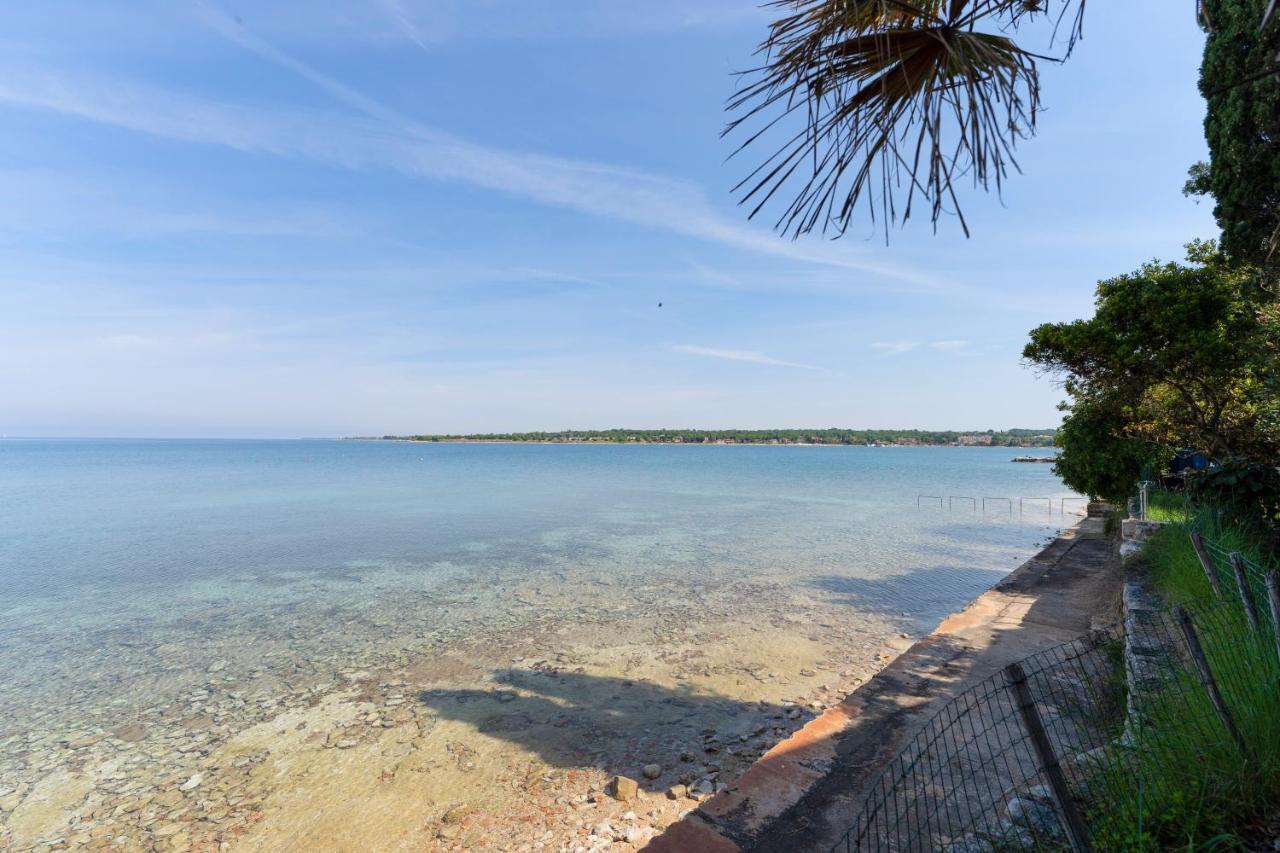 Villa Daulos Novigrad Istria Dış mekan fotoğraf
